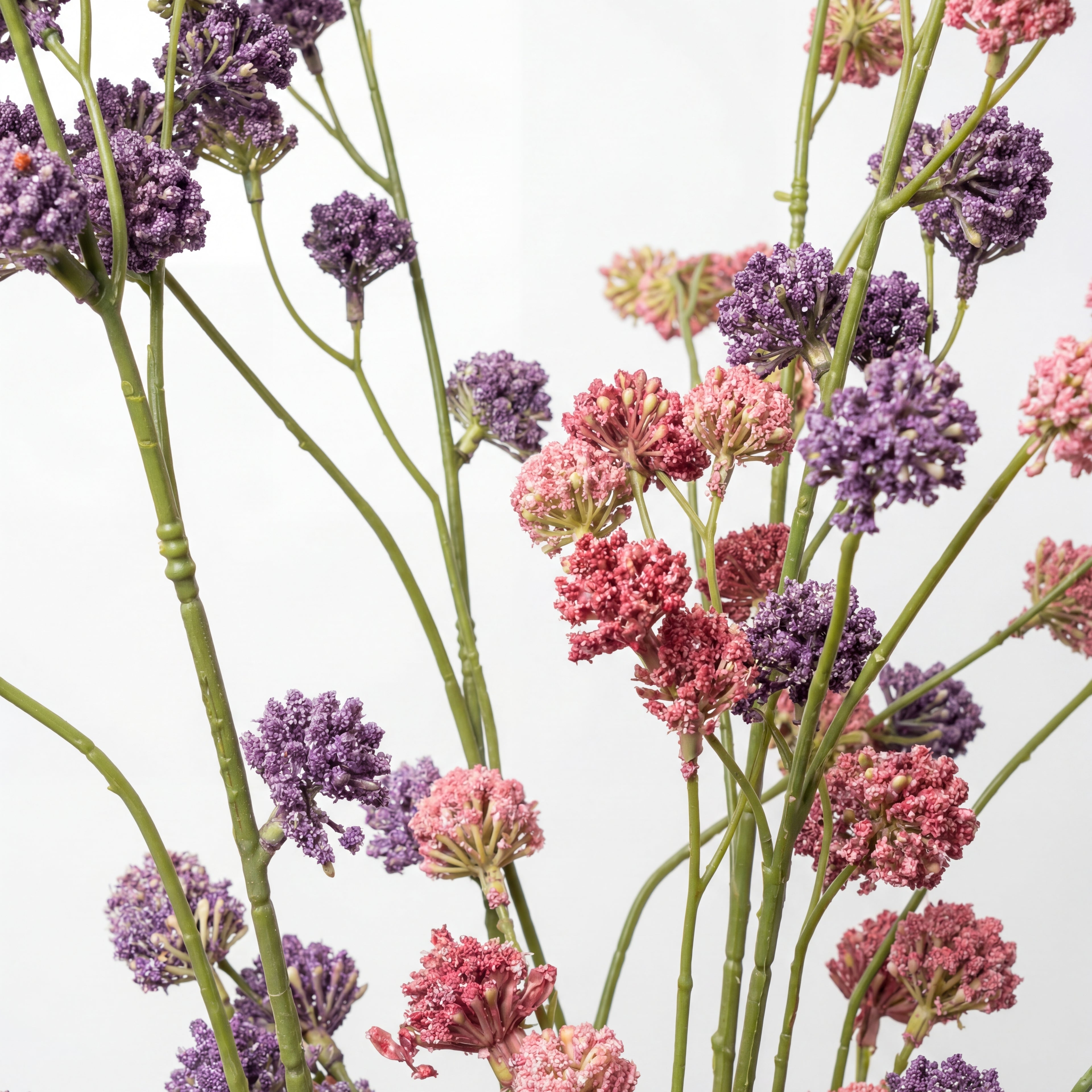 Maison Fleuré - No. 7