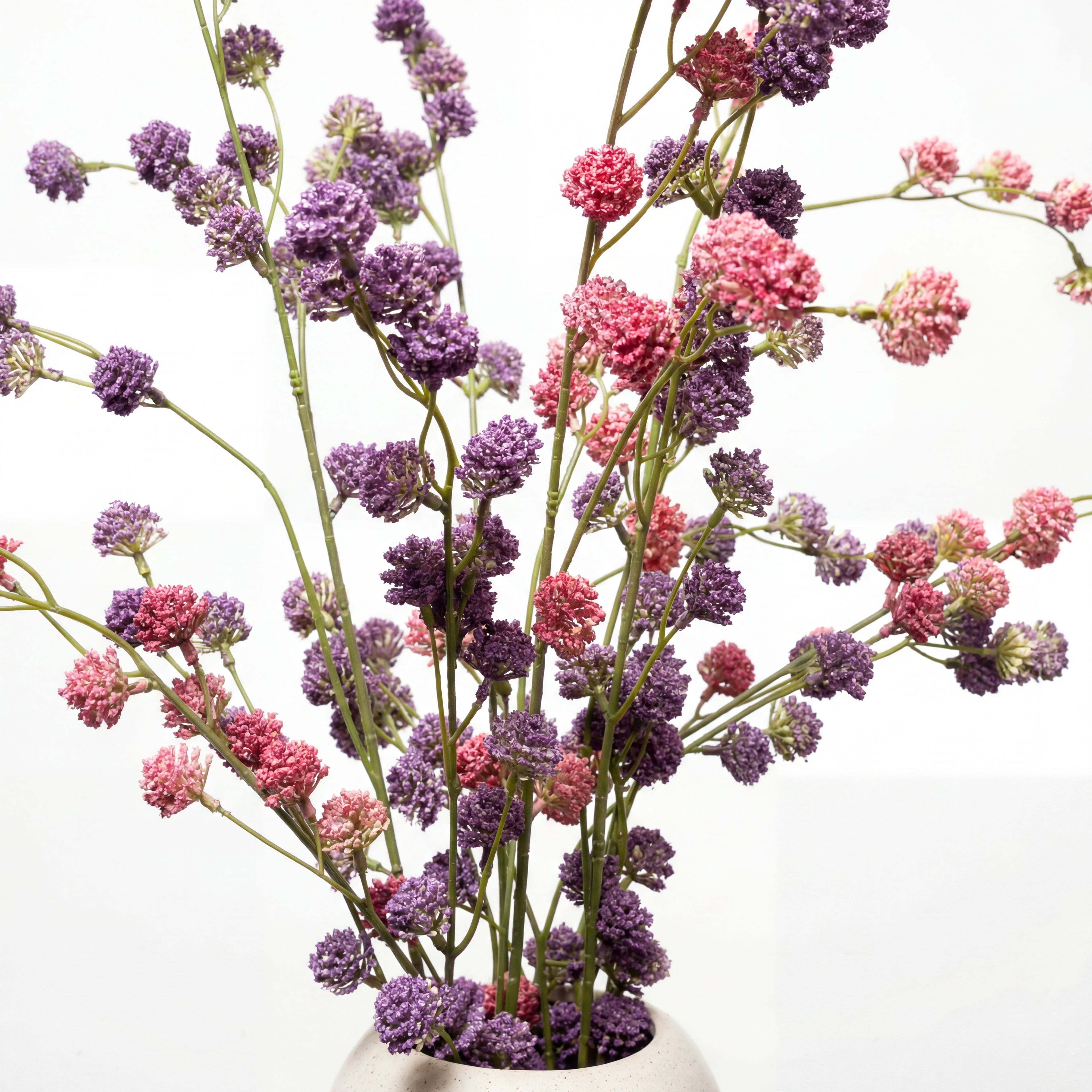 Maison Fleuré - No. 7