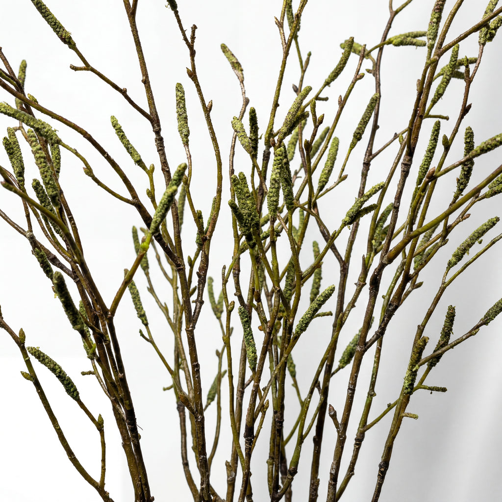 Maison Fleuré No. 9