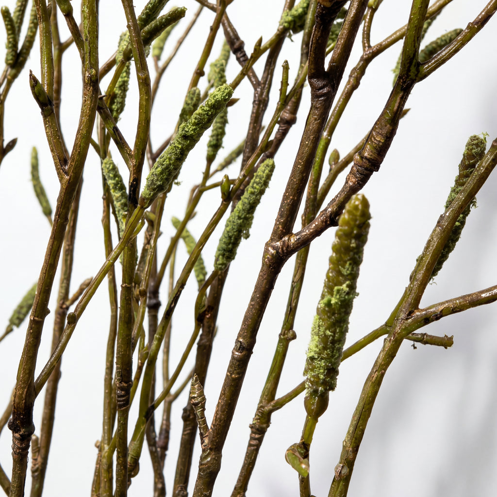 Maison Fleuré No. 9